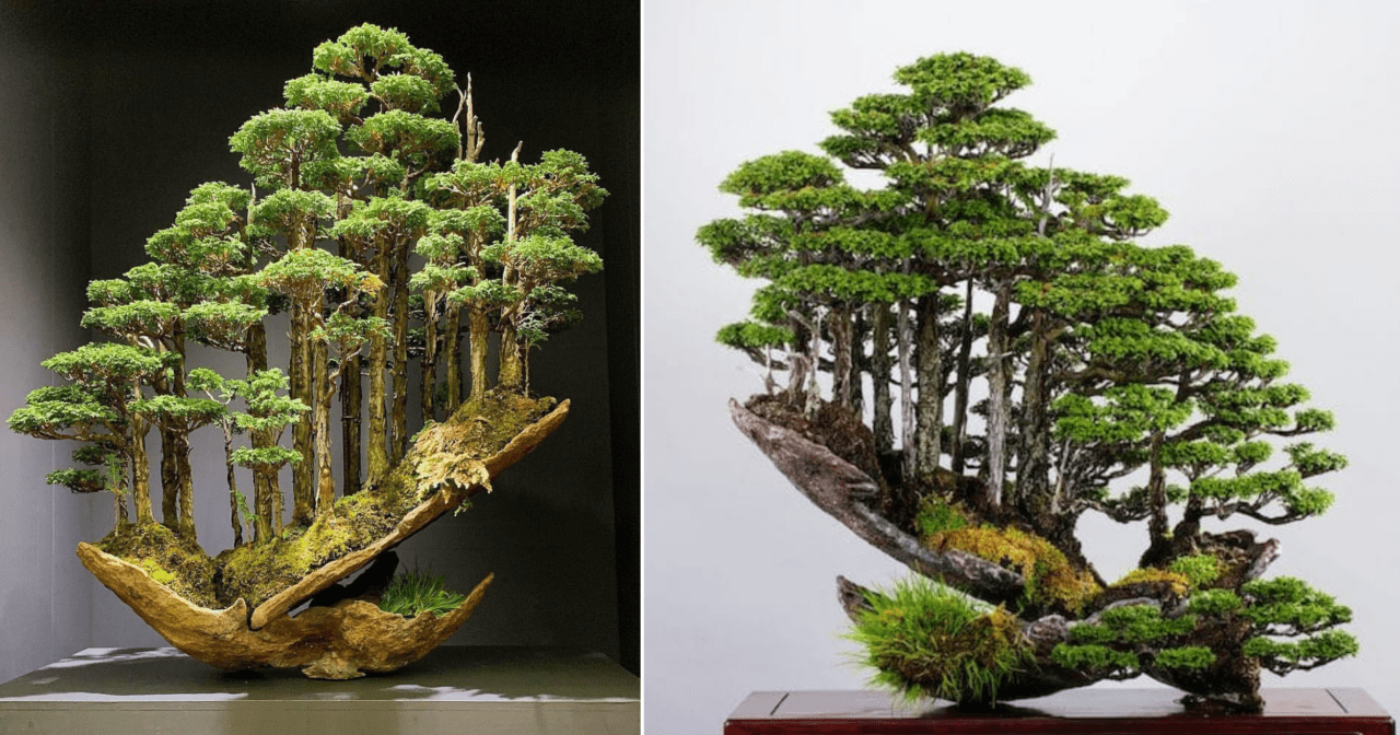 La Foresta Bonsai Capolavoro D Arte Contemporanea Giapponese Artuu